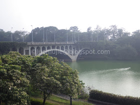 Meteor Garden university