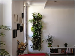 How to Decorate with plants and Wall Nature walls
