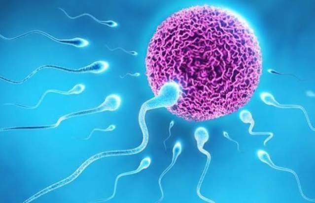 How Does Sperm Stain Contaminated on Laundry Pass? How to Identify a Sperm Stain?