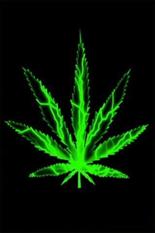 Weed Wallpaper Download