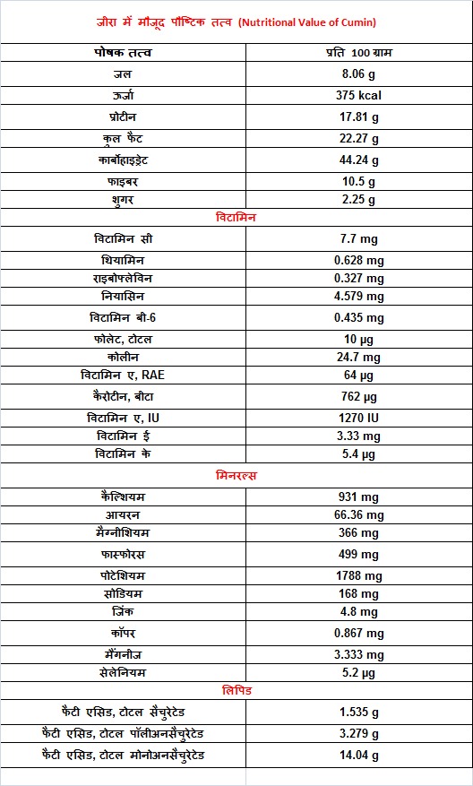 जीरा में मौजूद पौष्टिक तत्व (Nutritional Value of Cumin)