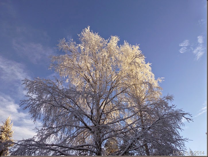 desember-besøk2 015