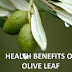 10 Olive Leaf Benefits for Cardiovascular Health & Brain Function