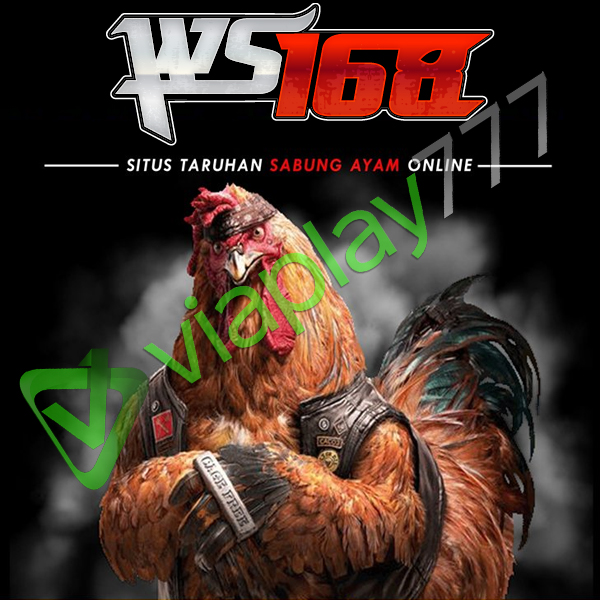 WS168 Link Alternatif Sabung Ayam Online Hari Ini 2024