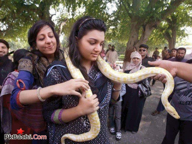 Pakistani Girls With Snakes Amazing Photo Shots