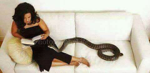 True Life Story: A woman who slept with a pet snake