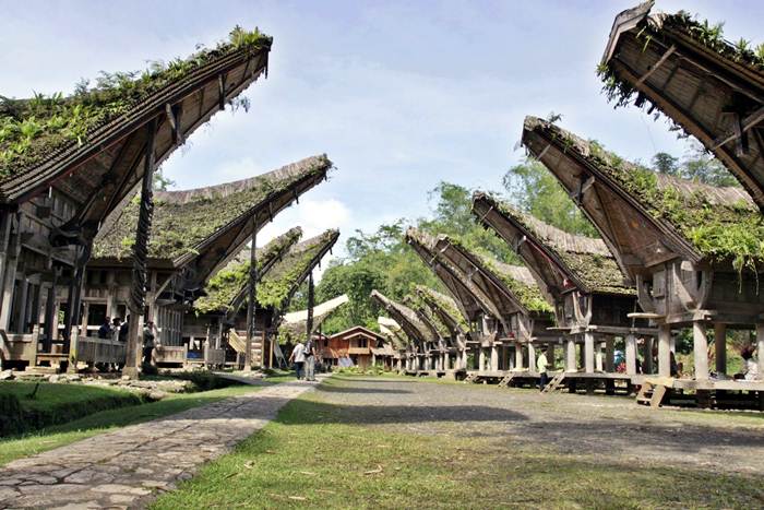 14 Tempat Wisata di Tana Toraja Terbaru yang Wajib Dikunjungi