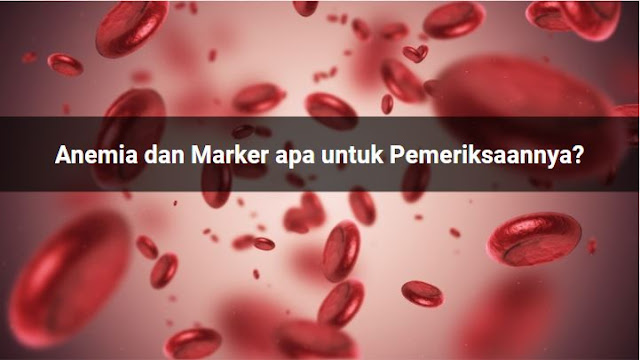 Anemia dan Marker apa untuk Pemeriksaannya