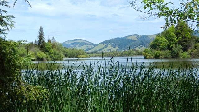 DSCN1171