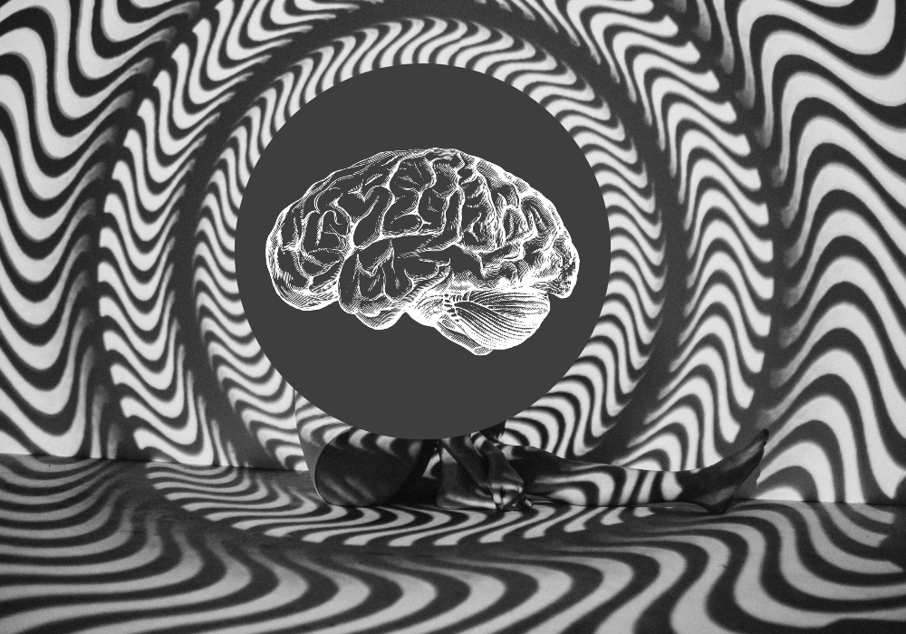 US Startup Claims to Have Developed New Hallucination-Free AI that Completely Eliminates False Information