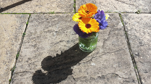 Project 366 2016 - day 183 Grandma's flowers // 76sunflowers