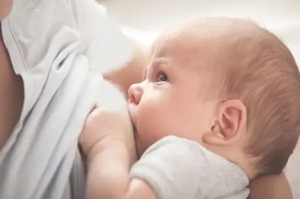What are the 4 stages of breastfeeding?