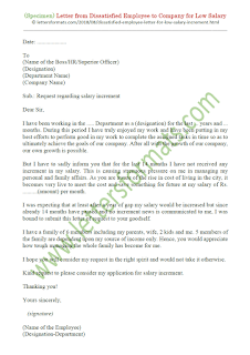 Letter from Dissatisfied Employee to Company for Low Salary