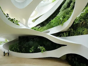 Biophilic Design: A Connection Between Nature and Architecture