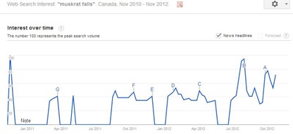 MF searches canada