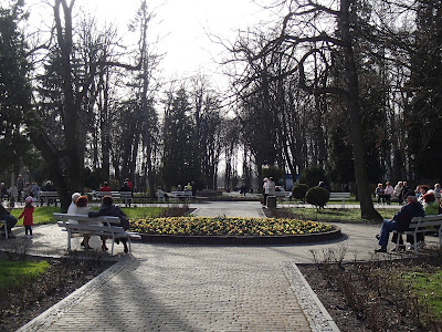 Ponidzie, Busko Zdrój, park zdrojowy w Busku, lecznicze nalewki, lecznicze wody w Busku, grzyby w kwietniu, kwiaty w kwietniu