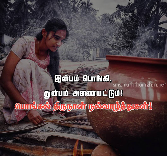 Best Pongal Wishes in Tamil