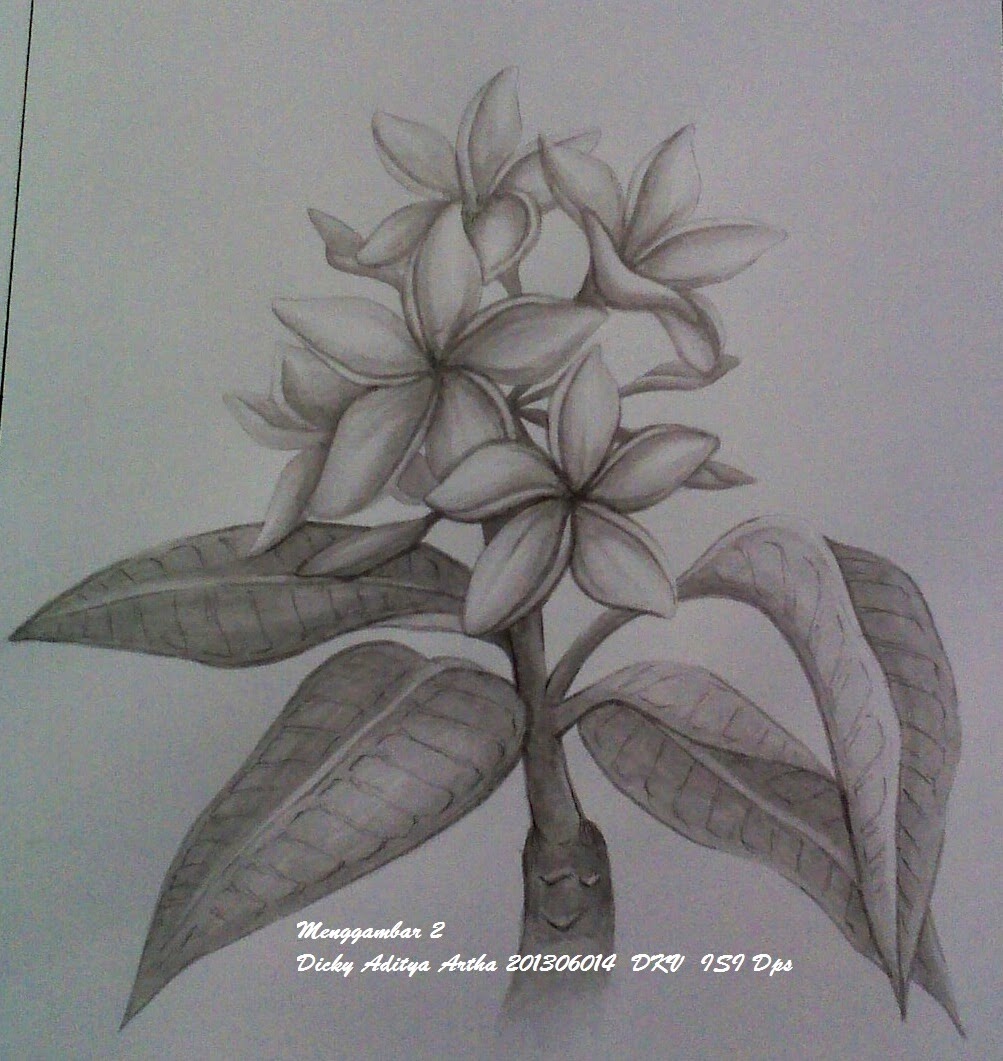 Contoh Gambar Bunga Menggunakan Pensil Ciupa Biksemad