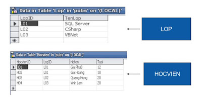 Sample Database trong lập trình java