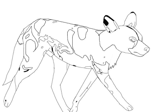 Printable  African Animal Coloring Pages 