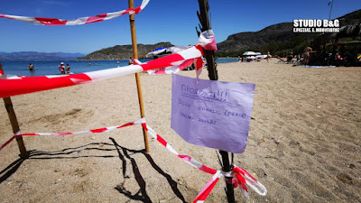 Θαλάσσια χελώνα Caretta caretta γέννησε τα αυγά της σε παραλία στο Ναύπλιο (βίντεο)