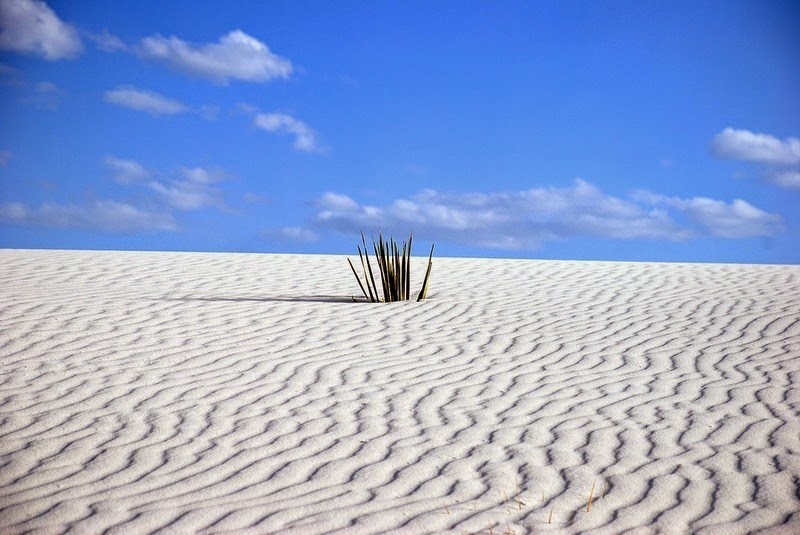 white-sands-national-monument-8