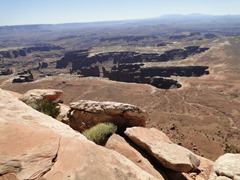 DSC02901