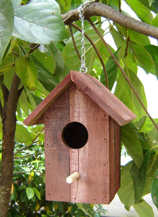 Green Girly: I Have an Odd Love for Bird Houses