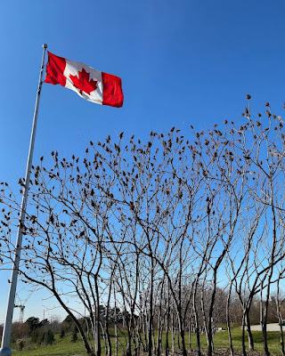 Canada Flag Photos