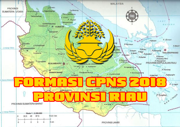 Formasi CPNS 2018 Tenaga Pendidik dan Tenaga Kesehatan Di Provinsi Riau