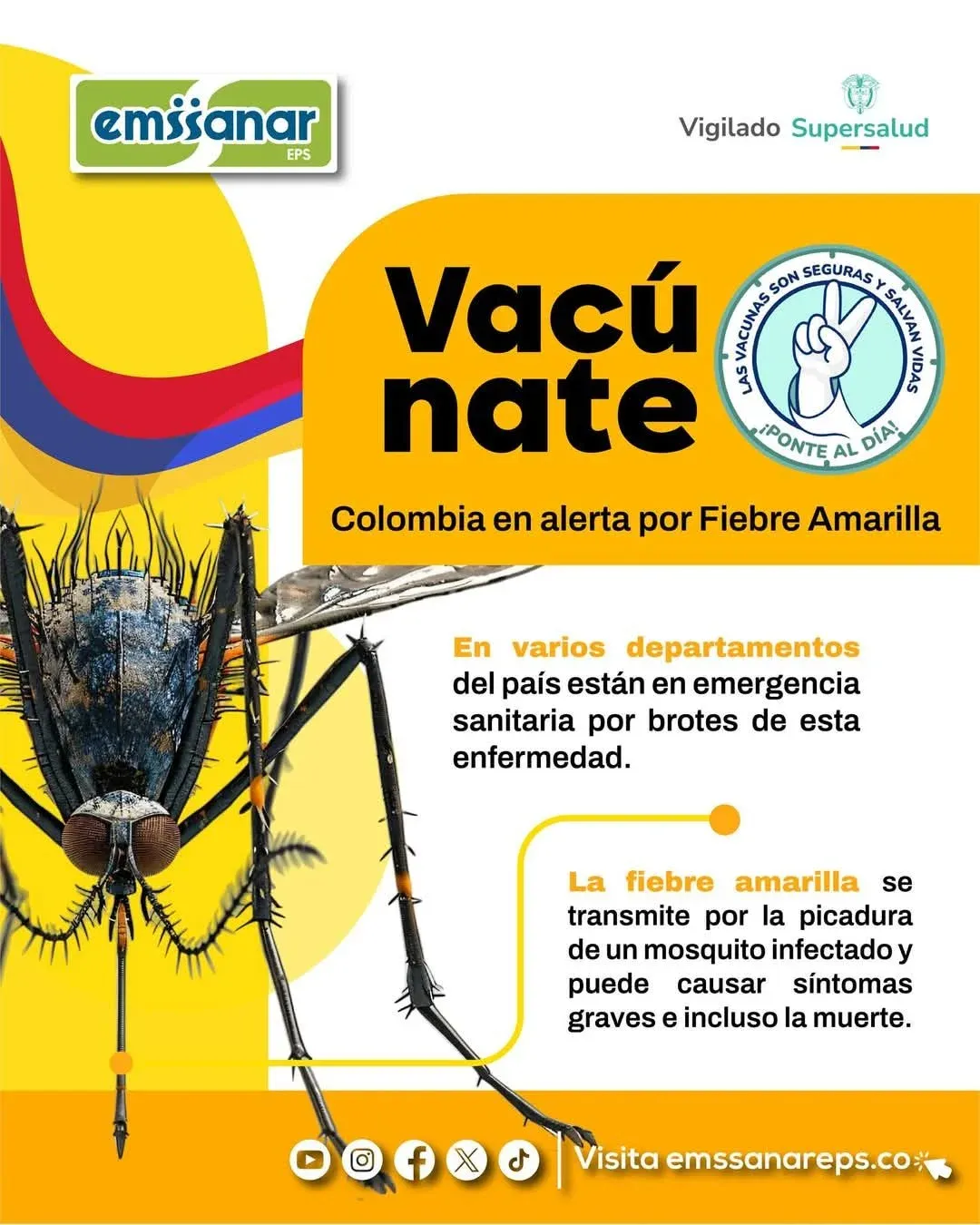 hoyennoticia.com
