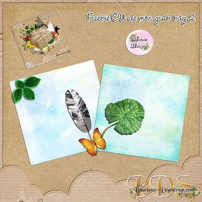 http://lescrapdemanue.blogspot.com/2009/11/mon-nouveau-grab-bag-cu-freebie.html