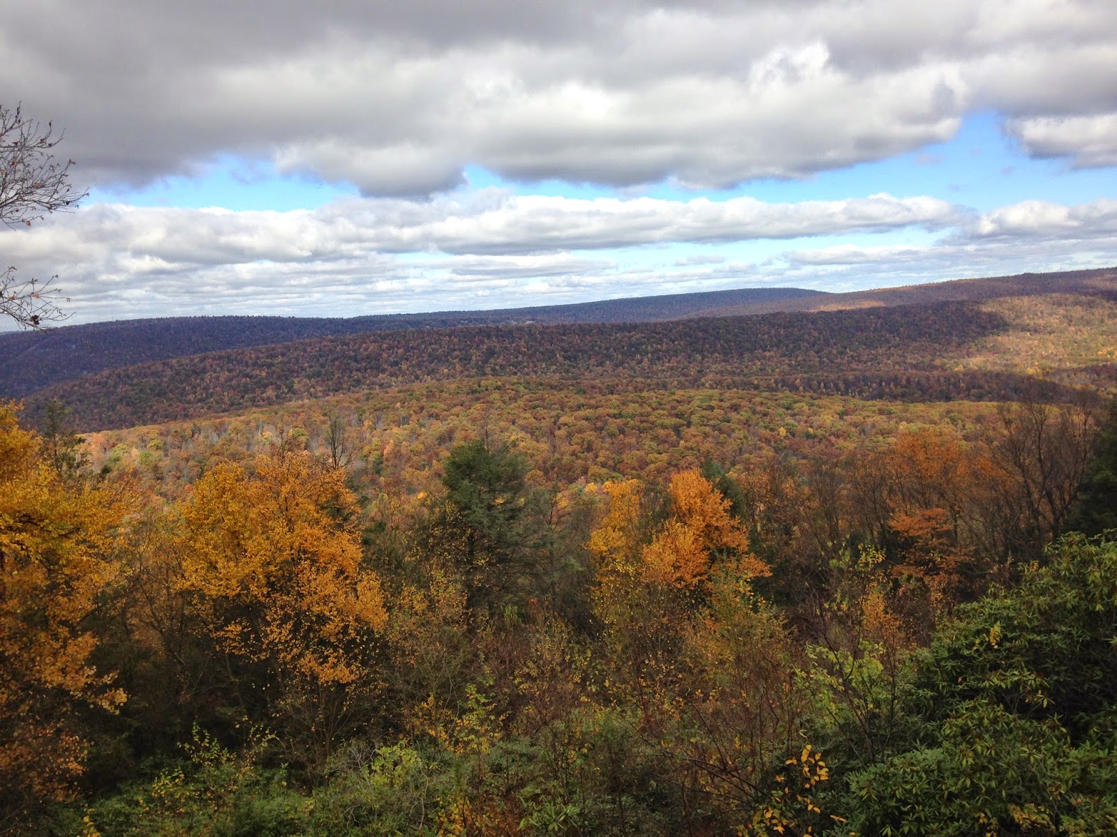 Ultramarathon, vegan, run, running, fall, Pennsylvania, Tussey Mountainback