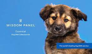 £20 off at Wisdom Panel