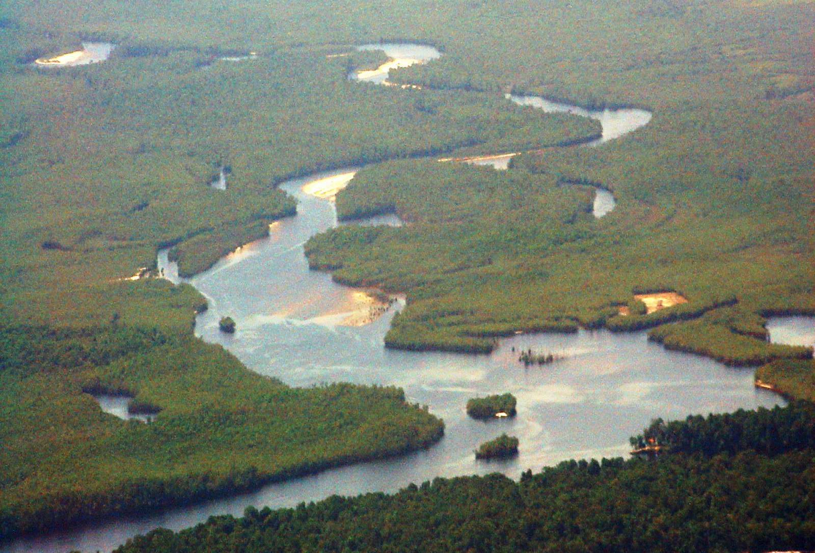 Returning to the Rio Negro  Northern Watershed of Brazil 