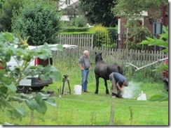 Farrier