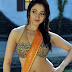 Tamanna Hot Saree Photos