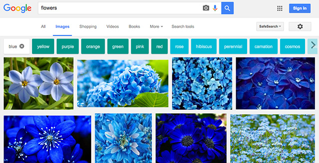 Tombol Pilihan Warna Untuk Pencarian Gambar Google