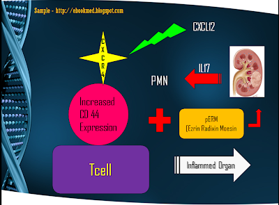 Systemic Lupus Erythematosus SLE.ppt