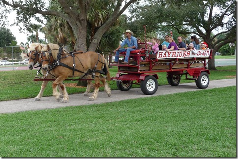 Hayride - horses