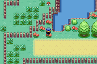 Pokemon Warped Screenshot 14