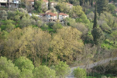 DSC06395