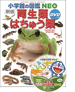 DVD付 新版 両生類・はちゅう類 (小学館の図鑑 NEO)