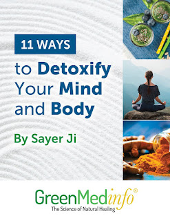 11 Ways to Detoxify Your Mind and Body eBook