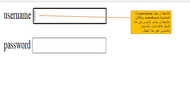 بعض من خصائص attributes التى تستخدم مع النموذج form في لغة Html