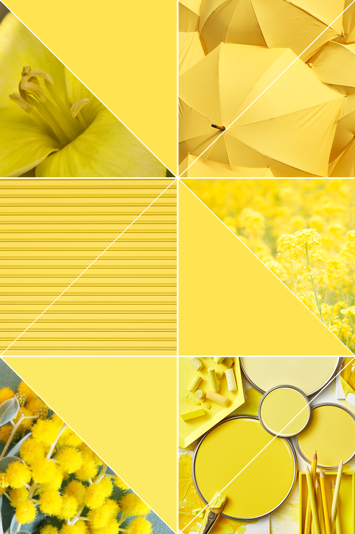 yellow, pantone, color of the year, illuminating, cool, photography, flowers, nature, umbrellas, shutter, garden, crafts, home decor, spring, summer, trend