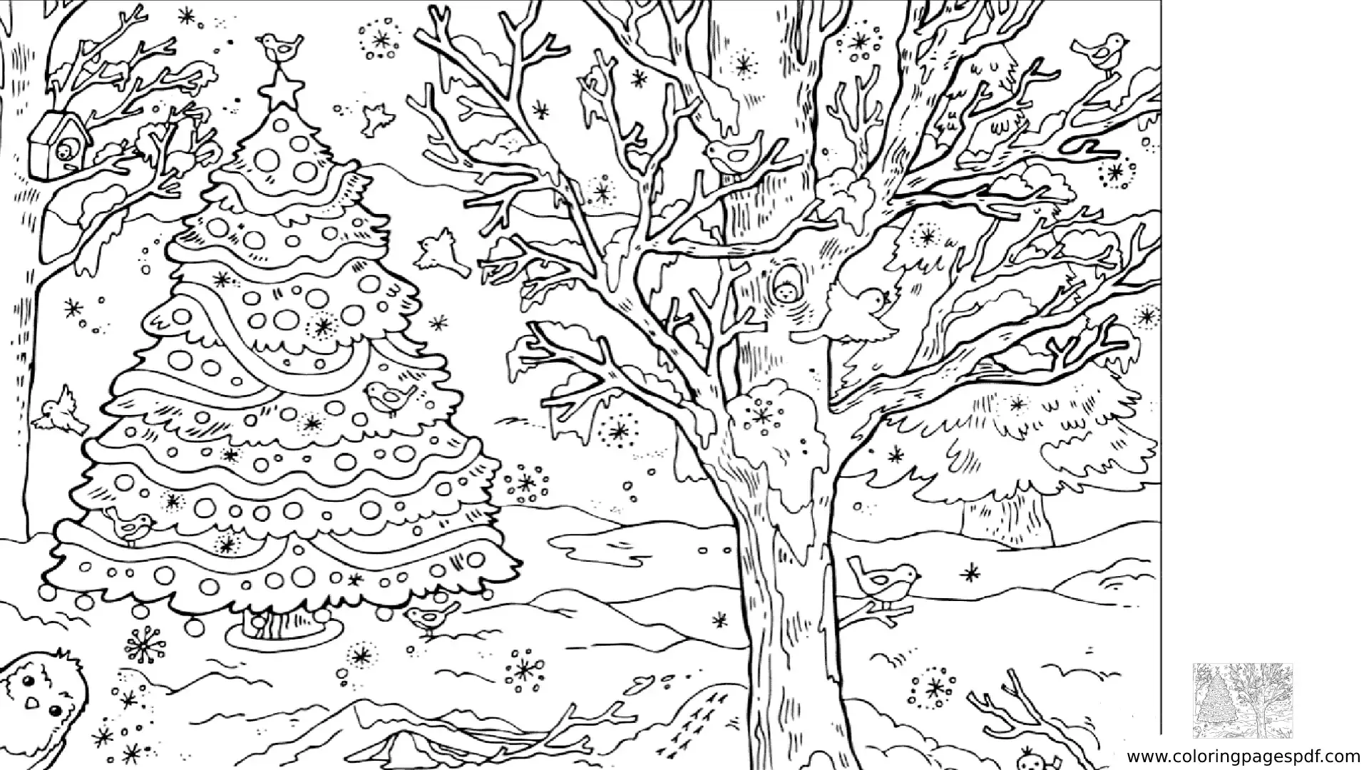 Coloring Page Of A Christmas Tree In A Snowy Day