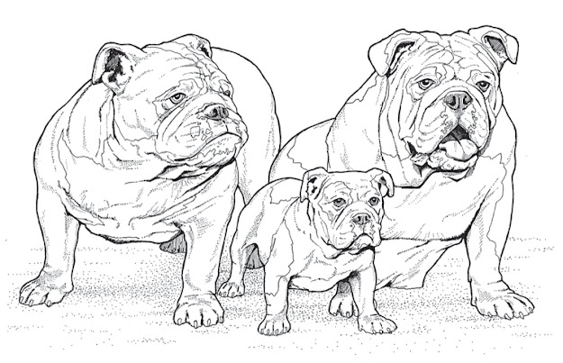  Images About Printables