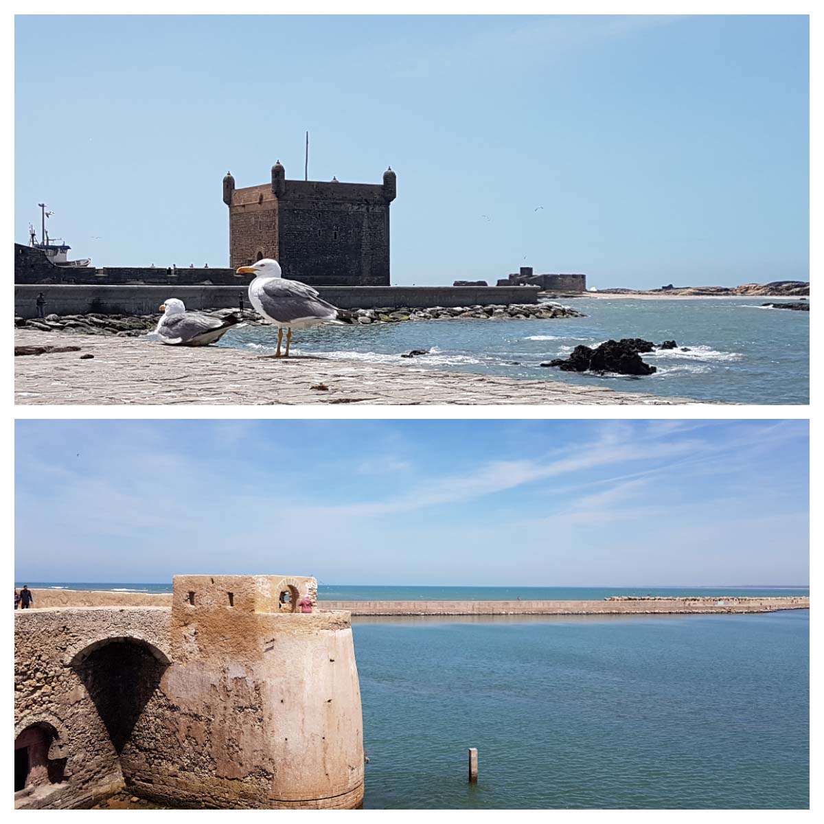 Essaouira e El Jadida no Marrocos: roteiro de 1 dia
