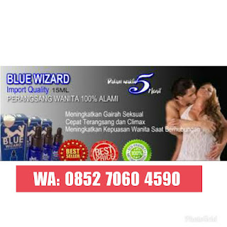  Agen Blue Wizard Asli Jakarta